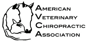 American Veterinarian Chiropractic Association